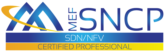 MEF SDN/NFV